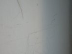 DSC_0151.jpg